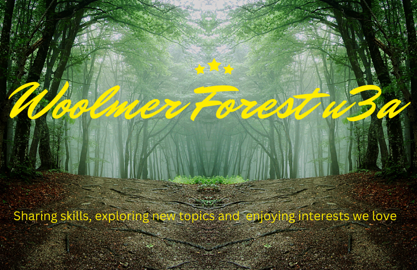 Woolmer Forest